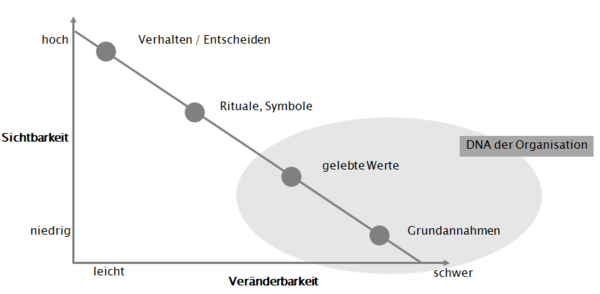 Kulturentwicklung - DNA der Organisation